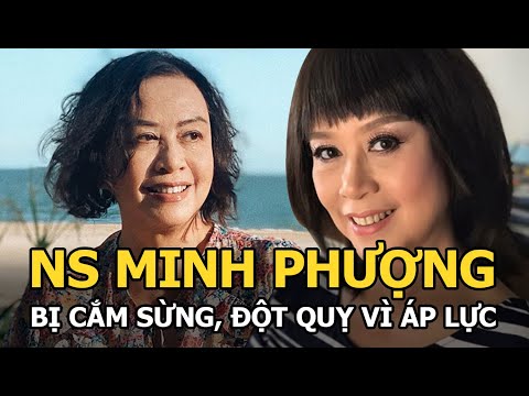 NS Minh Phuong Bo su nghiep lay chong Viet kieu